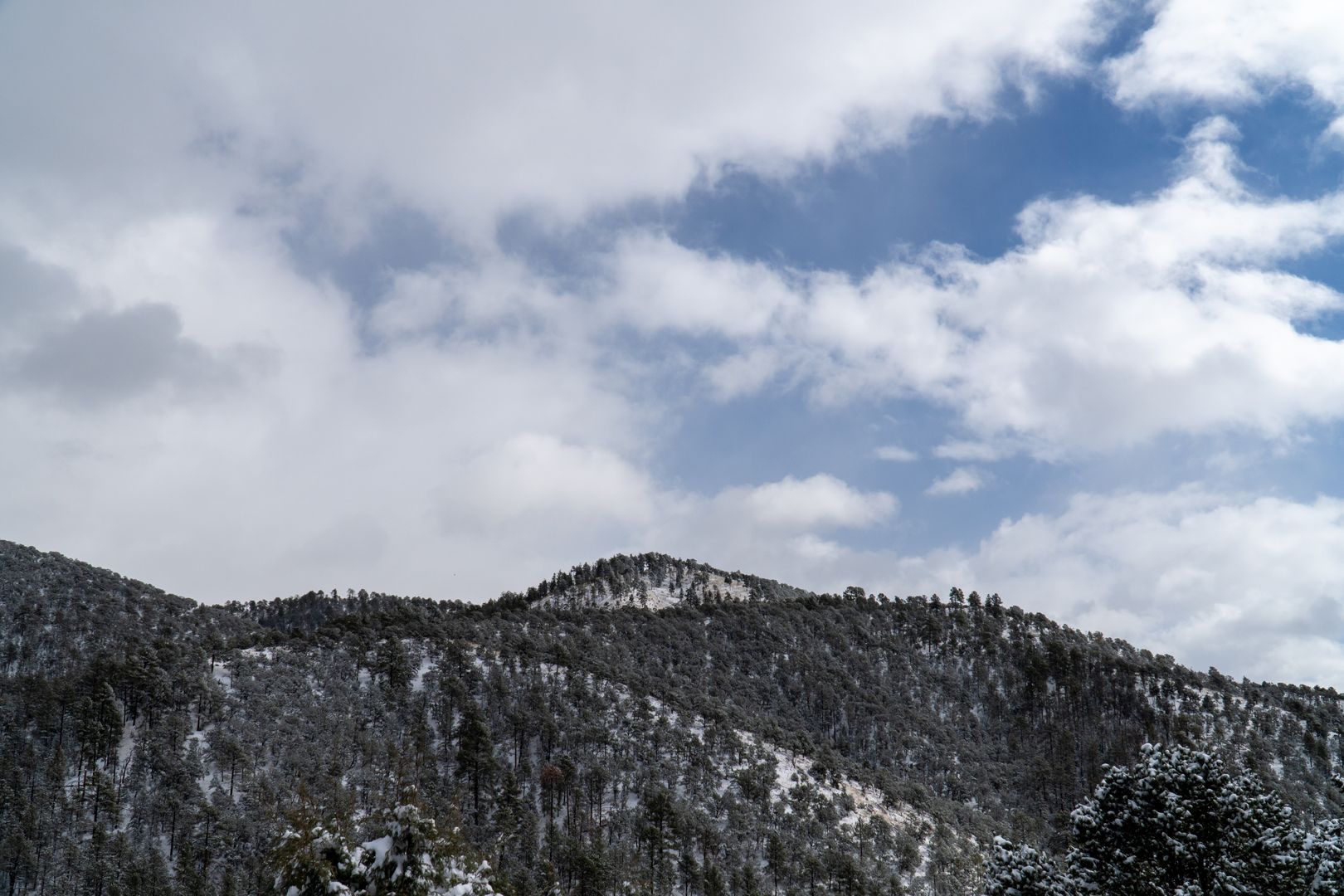 Homes along the forested Sangre de Cristo foothills near Santa Fe