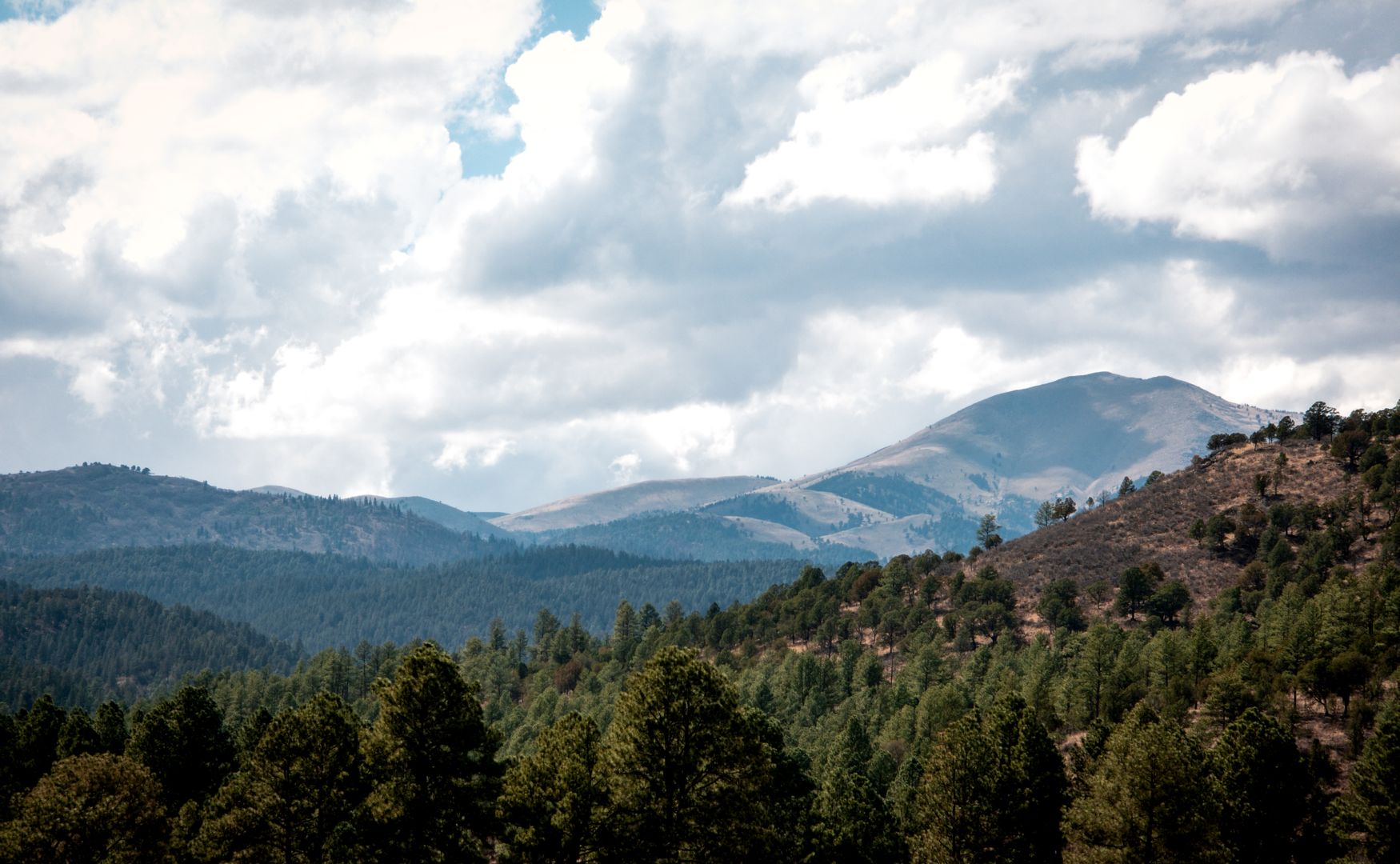 Sweeping mountain view in Ruidoso, New Mexico with pine forests and open sky